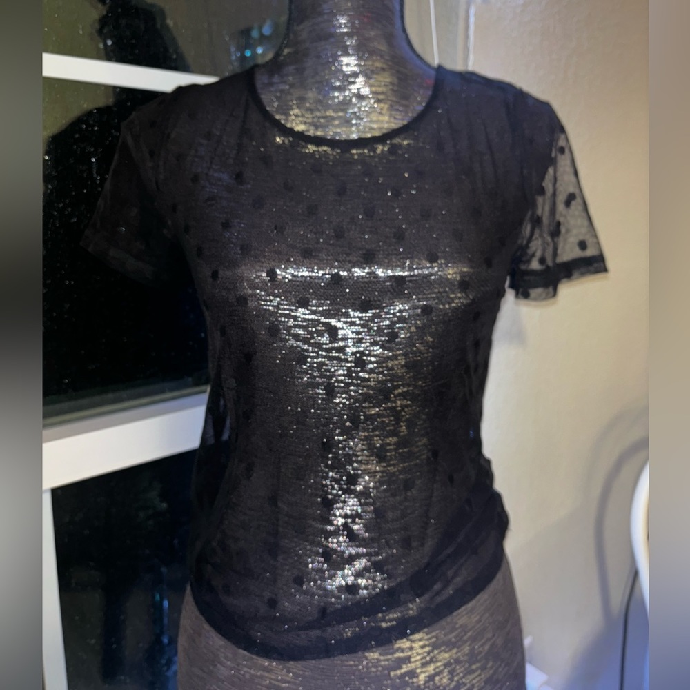 Mesh Polka Dot Top